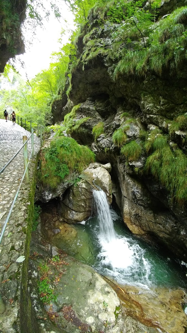 dest_1751883702_9515