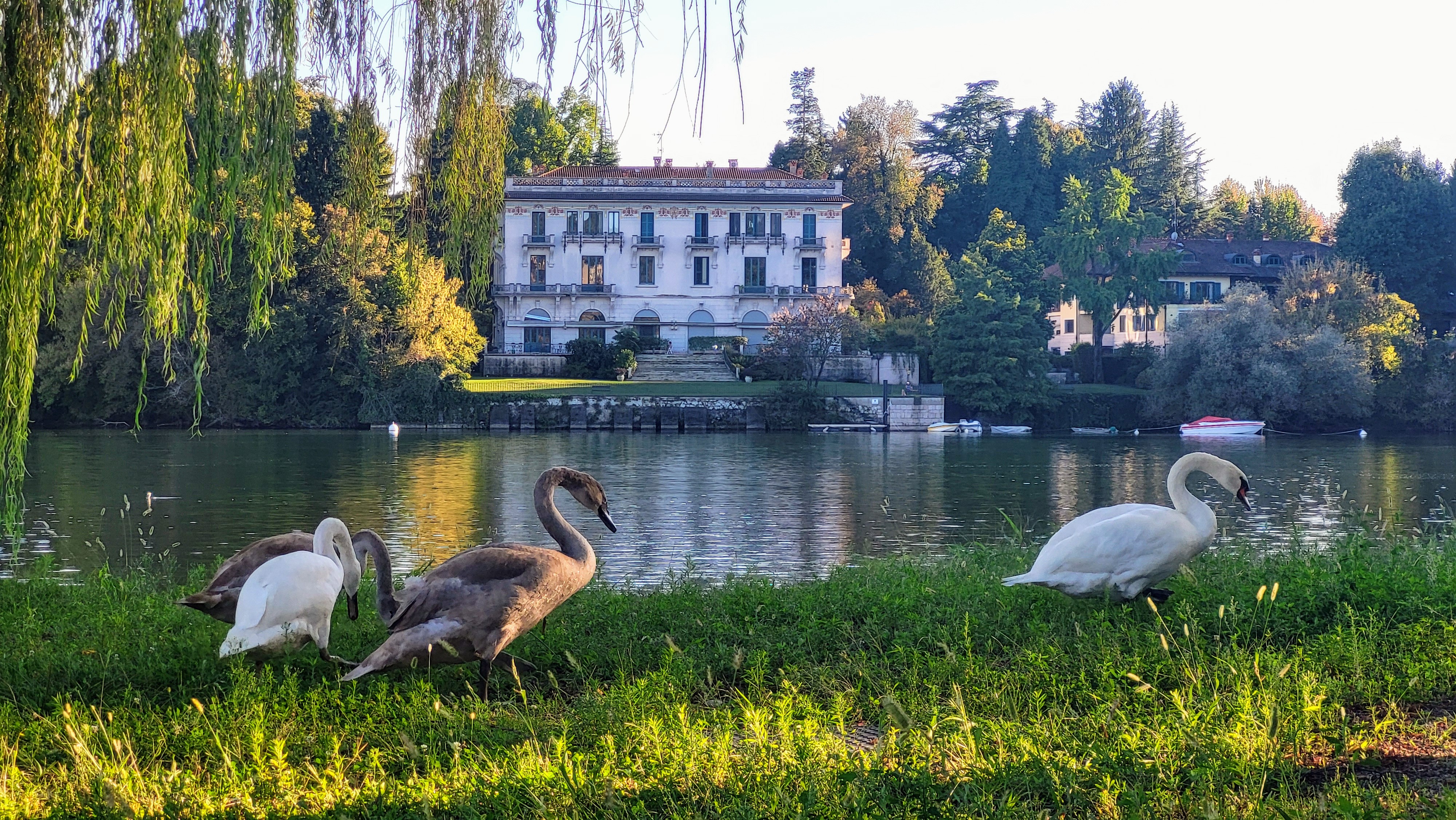 2025-08-31 18.32.32-1