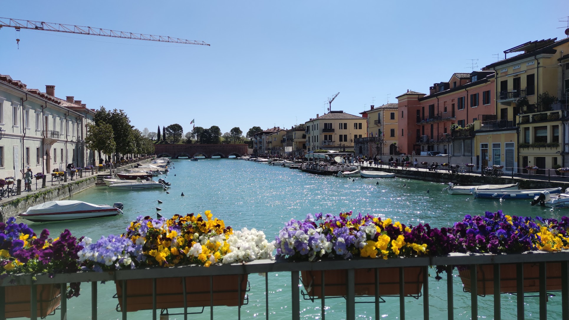IMG_20220417_112728